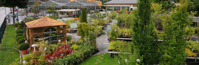 Gartencenter innen